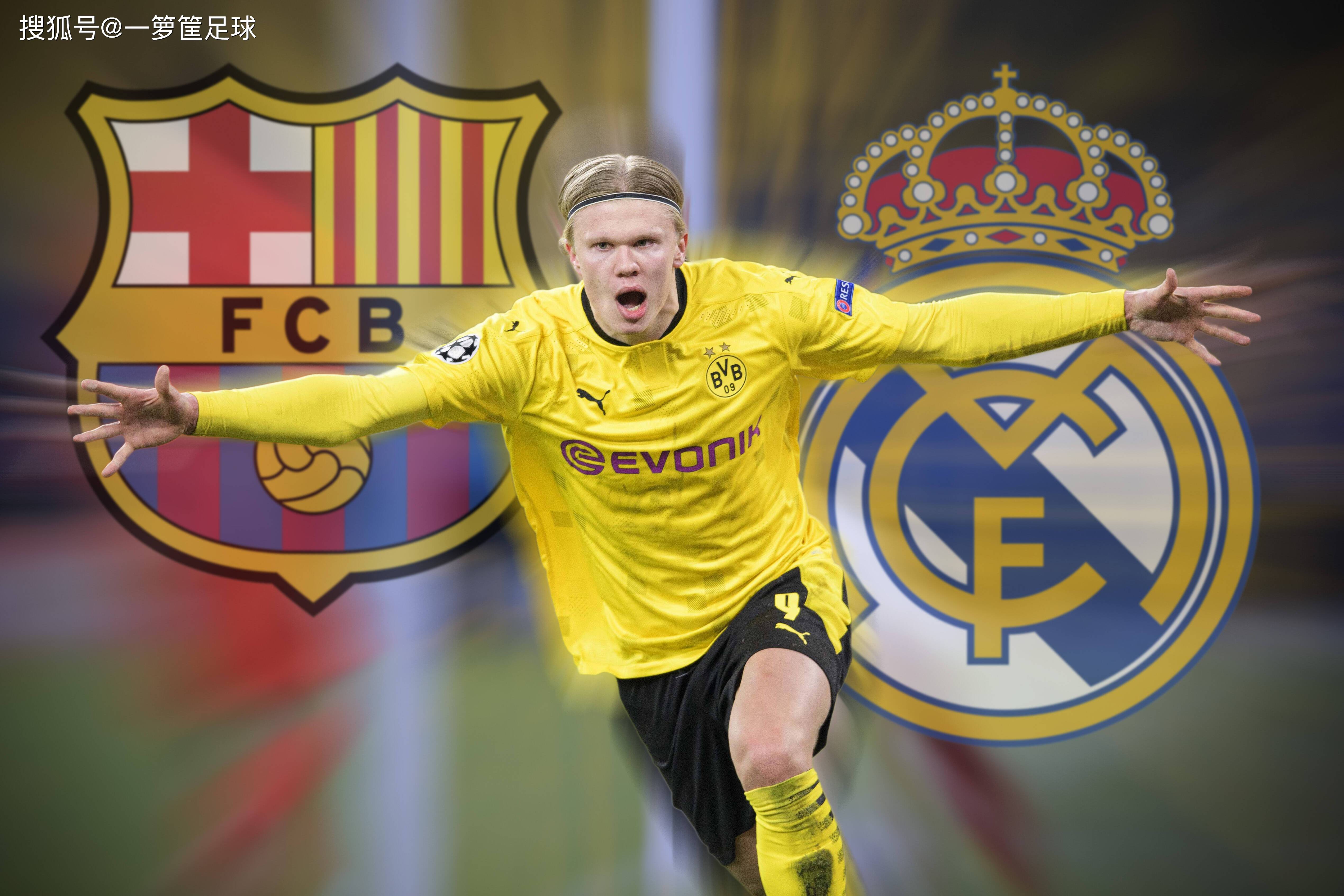 干净比萨并
